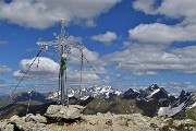Corno Stella (2620 m) con Montebello, solo, in compagnia degli stambecchi il 22 giugno 2020  - FOTOGALLERY